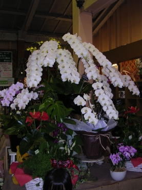 「水光園」　（岐阜県多治見市）の花屋店舗写真2