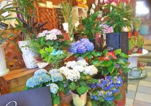 花市のお知らせ｜「水光園」　（岐阜県多治見市の花キューピット加盟店 花屋）のブログ